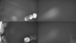 Sdružený snímek Bludný