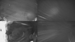 Sdružený snímek Bludný