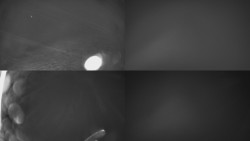 Sdružený snímek Bludný