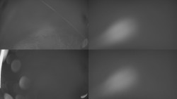 Sdružený snímek Bludný