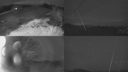 Sdružený snímek Bludný