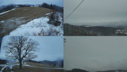 Sdružený snímek Bludný