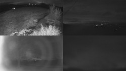 Sdružený snímek Bludný