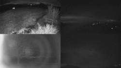 Sdružený snímek Bludný