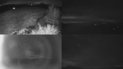 Sdružený snímek Bludný