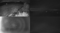 Sdružený snímek Bludný