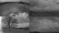 Sdružený snímek Bludný