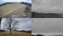 Sdružený snímek Bludný