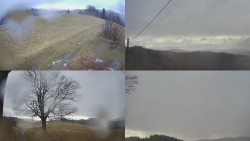 Sdružený snímek Bludný