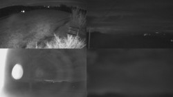 Sdružený snímek Bludný