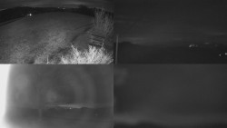 Sdružený snímek Bludný