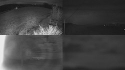 Sdružený snímek Bludný