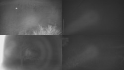 Sdružený snímek Bludný