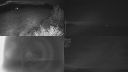 Sdružený snímek Bludný