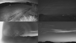 Sdružený snímek Bludný