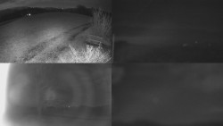 Sdružený snímek Bludný