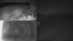 Sdružený snímek Bludný