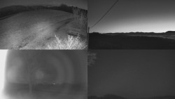 Sdružený snímek Bludný