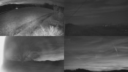 Sdružený snímek Bludný