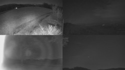 Sdružený snímek Bludný