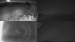 Sdružený snímek Bludný