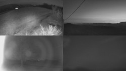 Sdružený snímek Bludný