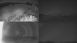 Sdružený snímek Bludný