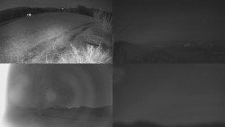 Sdružený snímek Bludný