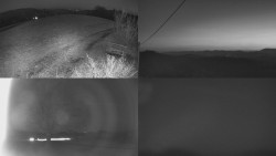 Sdružený snímek Bludný