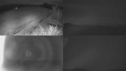 Sdružený snímek Bludný