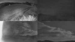 Sdružený snímek Bludný