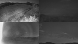 Sdružený snímek Bludný