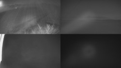 Sdružený snímek Bludný