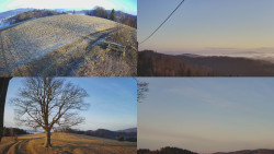 Sdružený snímek Bludný