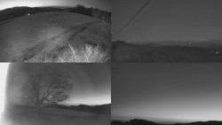 Sdružený snímek Bludný