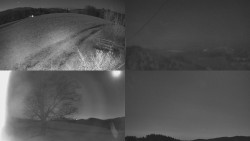 Sdružený snímek Bludný