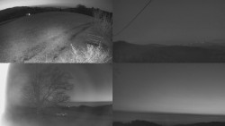 Sdružený snímek Bludný