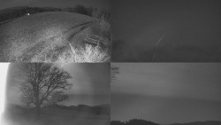 Sdružený snímek Bludný