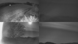 Sdružený snímek Bludný