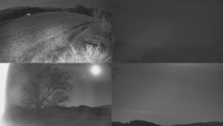 Sdružený snímek Bludný