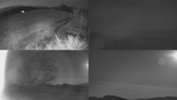 Sdružený snímek Bludný