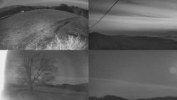 Sdružený snímek Bludný