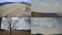 Sdružený snímek Bludný