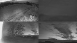 Sdružený snímek Bludný