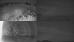 Sdružený snímek Bludný