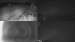 Sdružený snímek Bludný