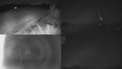 Sdružený snímek Bludný