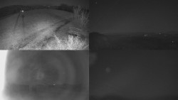 Sdružený snímek Bludný