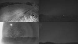 Sdružený snímek Bludný