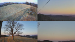 Sdružený snímek Bludný